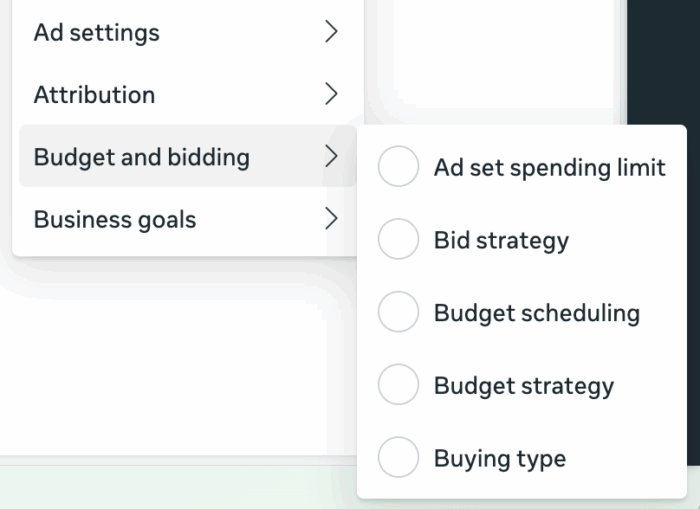 Budget and bidding - список параметрів групування